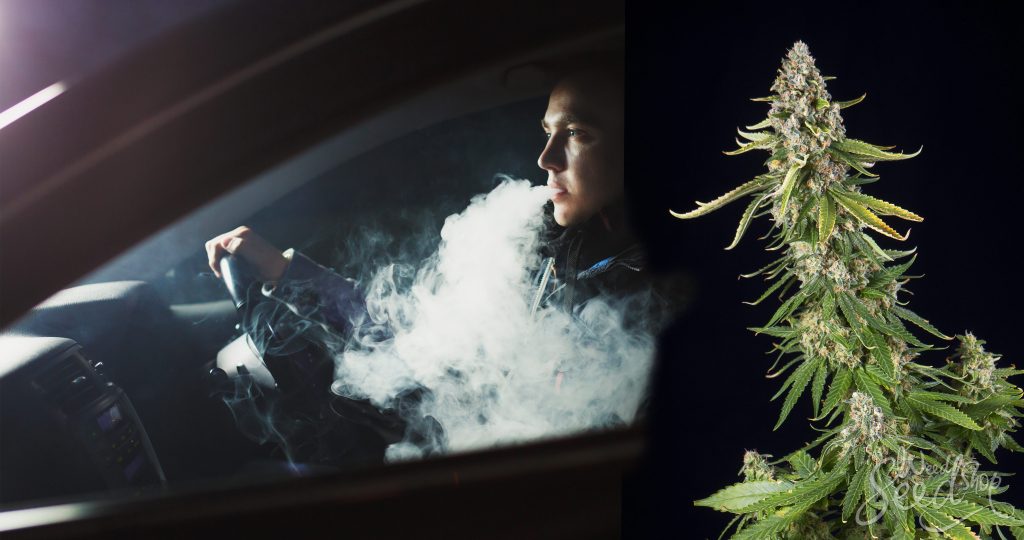 Jazda pod wpływem marihuany - kary