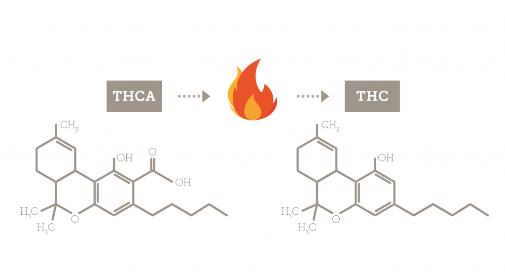 warunki dekarboksylacji THCA do THC