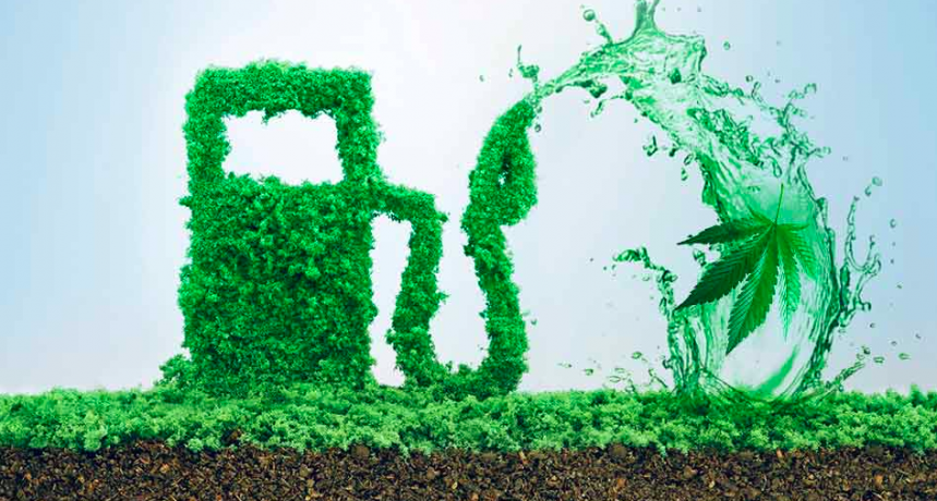 Biopaliwa z konopi