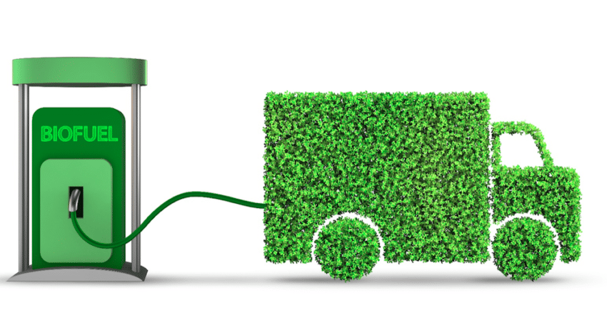 biopaliwa z konopi a środowisko