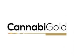 CannabiGold logo