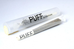 Joint CBD 5% - 1g PUFF PUFF Vanilla Killa Kush