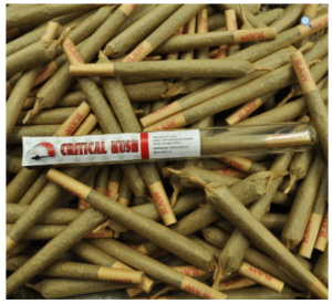 Joint CBD+CBDA 4% - 1 g Critical