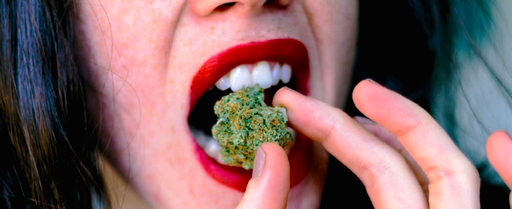 Czy jedzenie marihuany jest mocniejsze od palenia