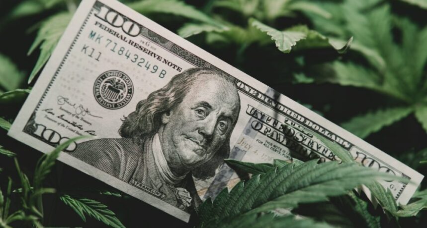 Podatki z legalizacji marihuany w USA