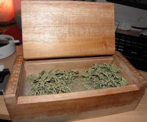 kiefbox z marihuaną