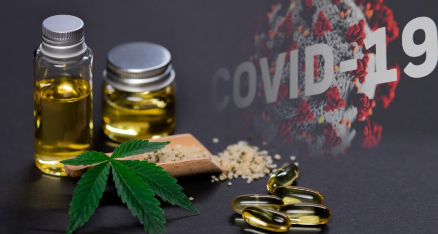 konopie w leczeniu COVID-19