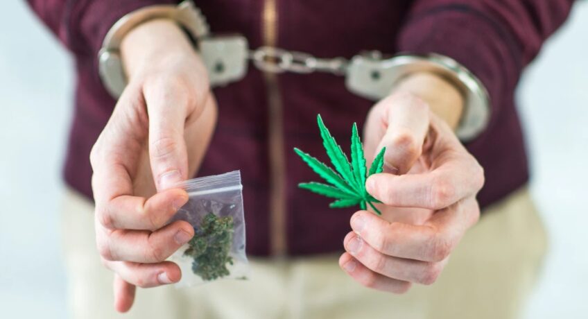 Kary za niewielkie ilości marihuany