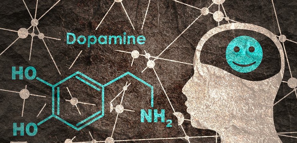 Marihuana a dopamina