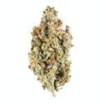 Orange Skunk