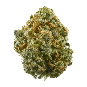 Critical Skunk