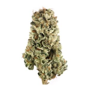 Thelonious Skunk