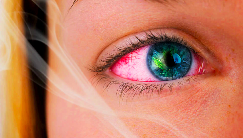 Palenie Marihuany A Wzrok I Czerwone Oczy Jak Na Nie Działa Hemplopl 4344