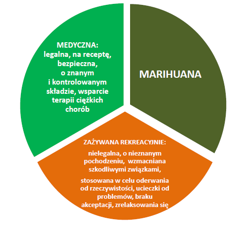 Rodzaje marihuany na rynku - lecznicza i rekreacyjna