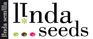 Linda Seeds