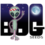 BOG Seeds