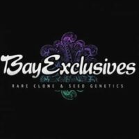 Bay Exclusives Seeds & Clones
