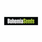BohemiaSeeds