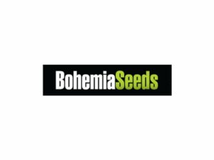 BohemiaSeeds