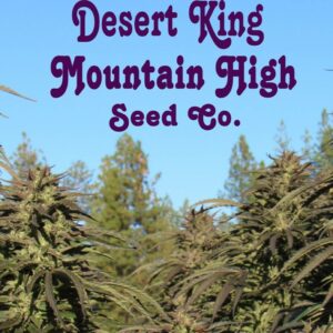 Desert King Mountain High Seed Co.