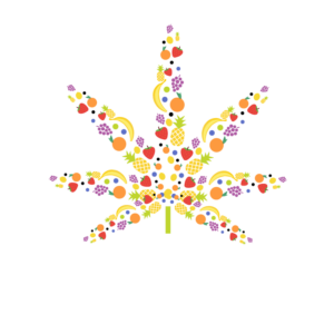 Flavour_Chasers