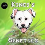 Kineos Genetics