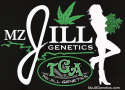 MzJill Genetics