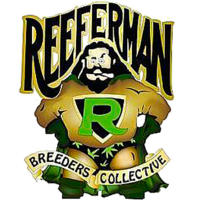 Reeferman seeds