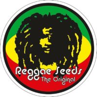 Reggae Seeds