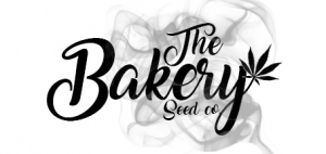 The Bakery Seed