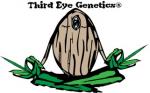 Third Eye Genetics