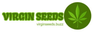 Virgin Seeds