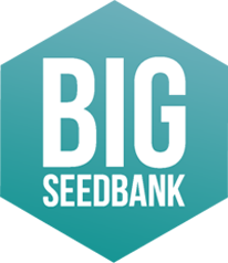 big-seedbank