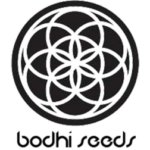 Bodhi Seeds Company