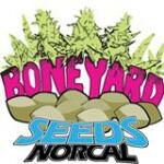 boneyard logo