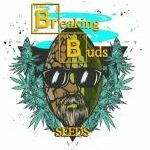 breaking buds logo