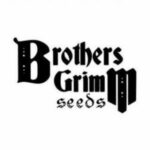 brothers-grimm-seeds