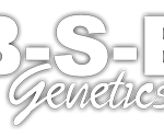 BSB Genetics