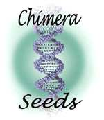 chimera seed logo