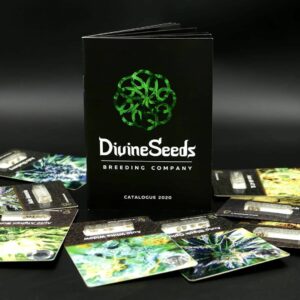 divine-seeds