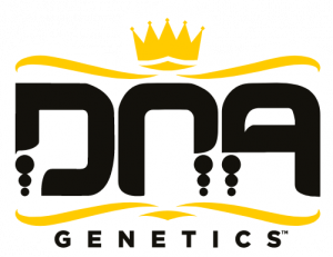 dna-genetics
