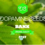 dopamine seed bank