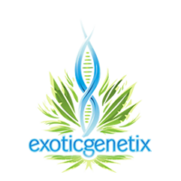 exotic-genetix