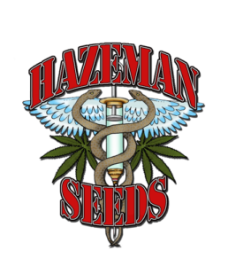 hazeman-seeds