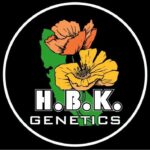 hbk genetics