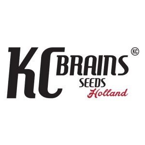 K.C. Brains Holland