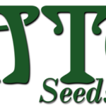 MTG Seeds