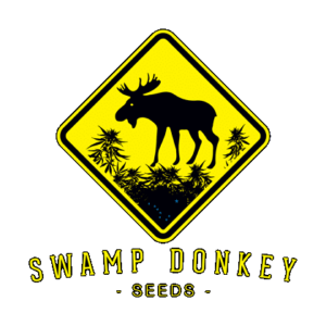 Swamp Donkey Seeds