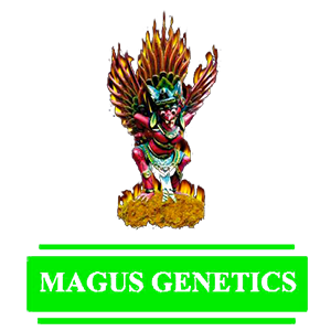 magus-genetics