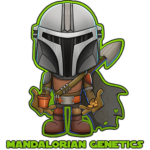 Mandalorian Genetics